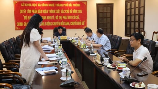 Nghiên cứu đánh giá tiềm năng và khả năng sinh trưởng loài hải miên tại Hải Phòng