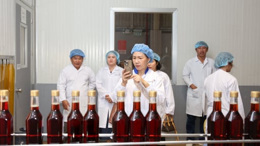 HACCP: Chìa khóa đảm bảo chất lượng, nâng tầm năng suất cho doanh nghiệp