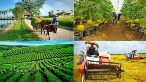 Nghị quyết 57 tạo động lực thúc đẩy nền nông nghiệp chuyển mình