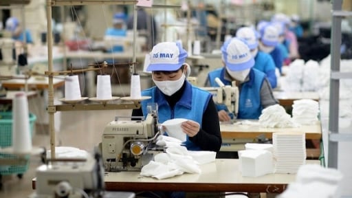 Vinatex (VGT) đạt 598 tỷ đồng lợi nhuận nửa đầu 2025