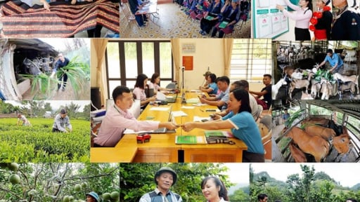 Nâng cao hiệu quả tín dụng chính sách xã hội