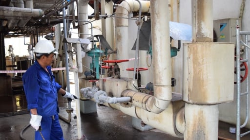 Áp dụng TWI giúp nâng cao hiệu quả sản xuất tại doanh nghiệp đường mía