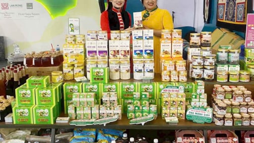 Lào Cai: Thêm 62 sản phẩm mới được công nhận đạt OCOP năm 2025