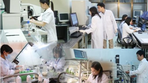 Nhiều chính sách trọng dụng nhà khoa học người Việt Nam ở nước ngoài, chuyên gia nước ngoài