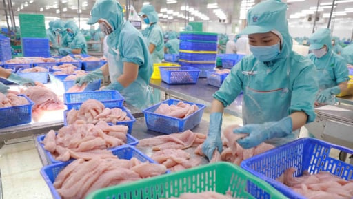 Cá tra khẳng định vị thế ở sân nhà: Không chỉ là giải pháp tạm thời