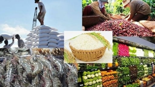 Xuất khẩu nông, lâm, thủy sản hướng tới mục tiêu 70 tỷ USD