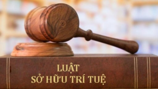 Đề xuất 5 nhóm chính sách sửa đổi, bổ sung một số điều của Luật Sở hữu trí tuệ