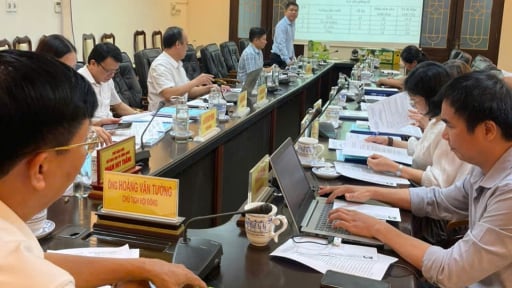 Hỗ trợ bảo hộ, quản lý và phát triển nhãn hiệu tập thể “Ổi lê Đông Tạ, huyện Vĩnh Bảo, thành phố Hải Phòng”