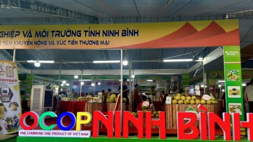 Doanh nghiệp áp dụng các hệ thống quản lý chất lượng để nâng cao sức cạnh tranh các sản phẩm OCOP