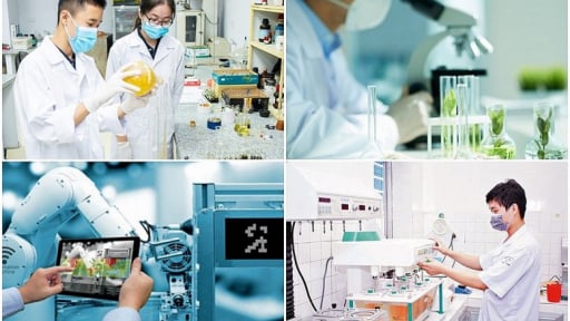 Quỹ Phát triển khoa học và công nghệ quốc gia vận hành theo chuẩn quốc tế