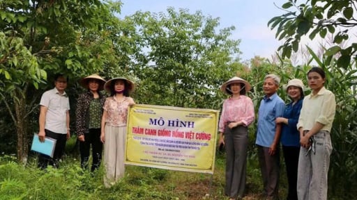 Thái Nguyên: Khoa học, công nghệ, đổi mới sáng tạo và chuyển đổi số là động lực phát triển nông nghiệp hàng hóa