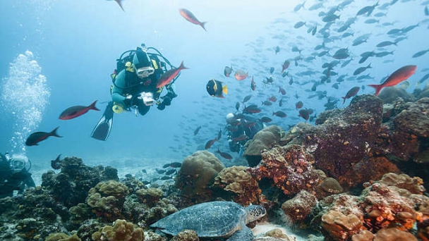 Tiêu chuẩn cho ngành lặn giúp thúc đẩy du lịch bền vững