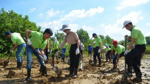 Tổ chức Liên hoan phim môi trường tại Việt Nam