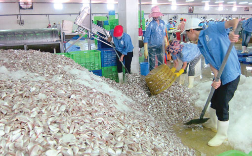 Công ty Cổ phần Thương mại vận tải và Chế biến hải sản Long Hải bị xử phạt do vi phạm lĩnh vực bảo vệ môi trường