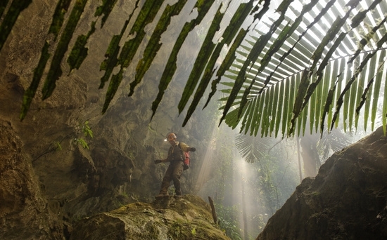 Khám phá hang động hàng triệu năm tuổi lớn nhất thế giới tại Việt Nam, bên trong cả một khu rừng nhiệt đới đang phát triển