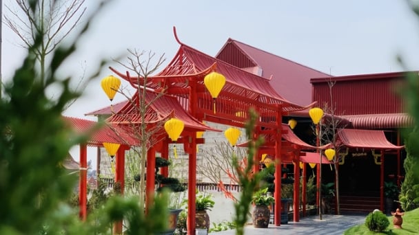 Ngôi chùa cổ sở hữu cây thị có niên đại hàng trăm năm, khuôn viên đặt tượng Phật Tổ cao 2,5m