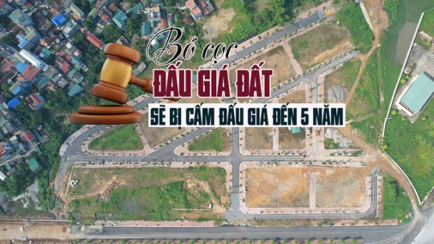 Người trúng đấu giá đất nhưng bỏ cọc sẽ bị cấm đấu giá từ 6 tháng đến 5 năm