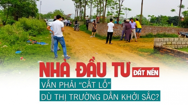 Nhà đầu tư đất nền vẫn “cắt lỗ” để thoát hàng dù thị trường dần khởi sắc?