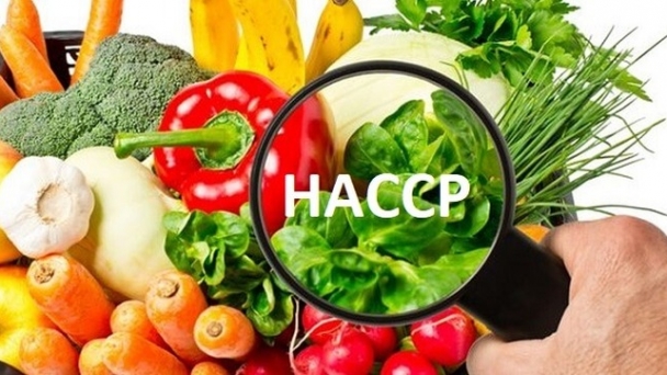 Áp dụng tiêu chuẩn HACCP nâng cao chất lượng sản phẩm