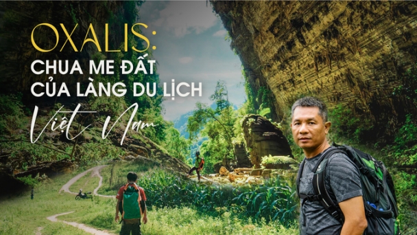 Oxalis: Chua Me Đất của làng du lịch Việt Nam