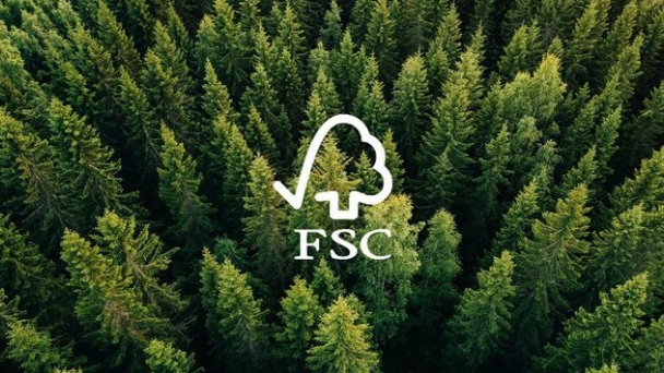 Tiêu chuẩn FSC hướng đến bảo vệ rừng bền vững