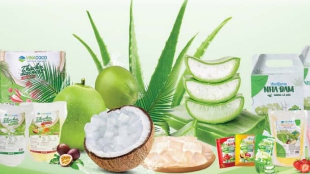 GC Food trả cổ tức năm 2024 bằng tiền vào 26/5, tỷ lệ 16%