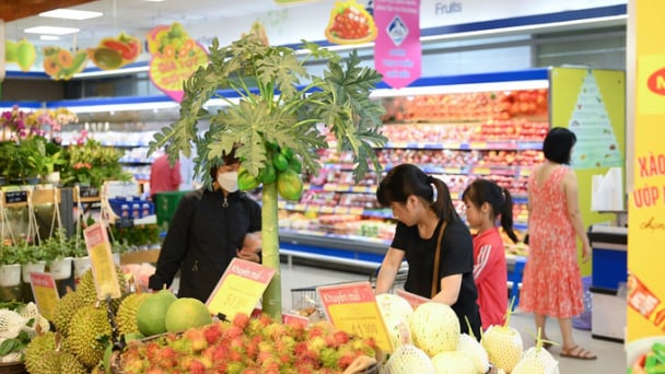 Co.opmart, Co.opXtra tổ chức lễ hội hàng hợp tác xã, giảm giá hơn 1.000 sản phẩm OCOP