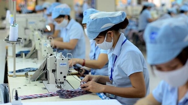 Tiêu chuẩn SA 8000 nâng cao uy tín doanh nghiệp trên thị trường quốc tế