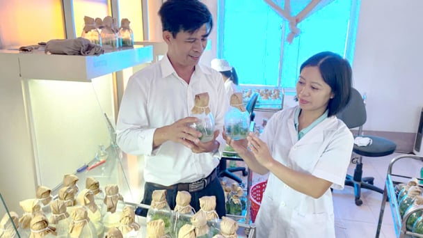 Ứng dụng công nghệ trong lâm nghiệp nâng cao năng suất chất lượng và phát triển bền vững