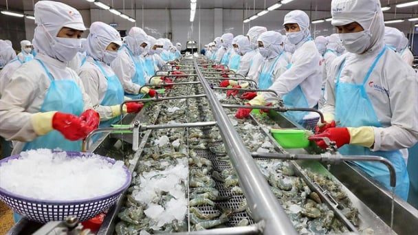 Nhiều doanh nghiệp Việt lựa chọn áp dụng ISO 22000 nhằm quản lý an toàn thực phẩm