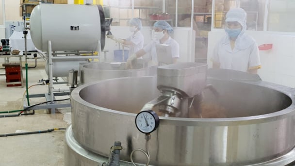 Bavabi nâng tầm chất lượng với chứng nhận HACCP