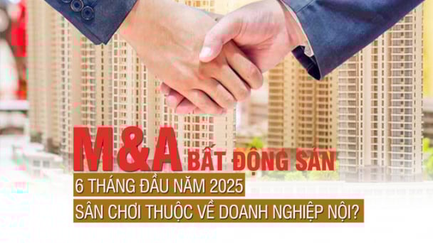 M&A bất động sản 6 Tháng Đầu Năm 2025: Sân chơi thuộc về doanh nghiệp nội?