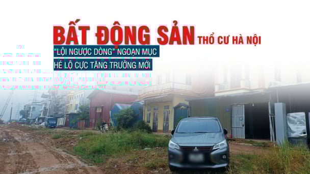 Bất động sản thổ cư Hà Nội “lội ngược dòng” ngoạn mục, hé lộ cực tăng trưởng mới