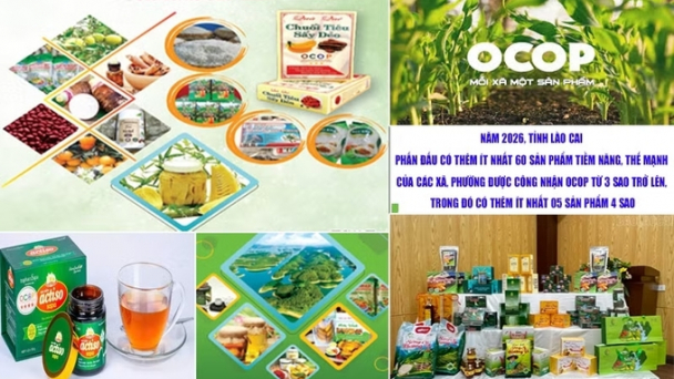 Lào Cai đẩy mạnh phát triển sản phẩm OCOP