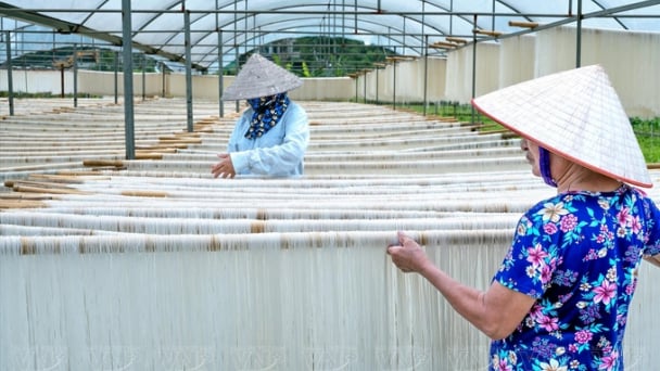 Phú Thọ nâng cao chất lượng sản phẩm OCOP sau công nhận