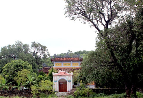 Xoài hơn 220 năm tuổi là cây di sản Việt Nam