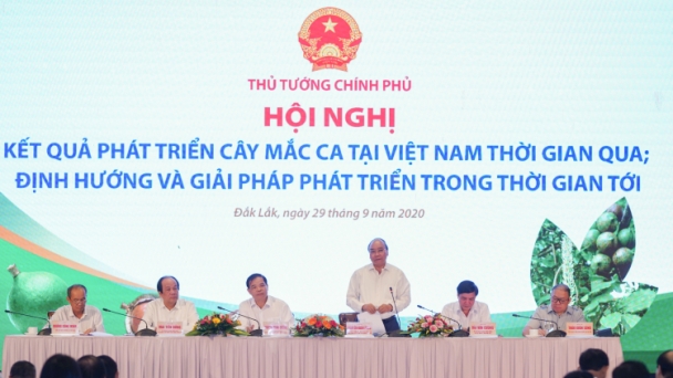 Thủ tướng Nguyễn Xuân Phúc chủ trì Hội nghị về phát triển cây mắc ca