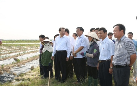 PTT Vũ Văn Ninh: Hải Dương cần ưu tiên phát triển dịch vụ hơn nữa