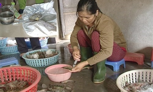 Bơm tạp chất, cắm tăm... thủy sản VN bị khách ngoại tẩy chay