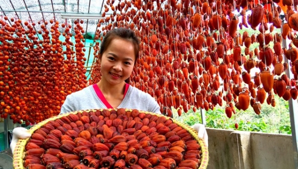 Đà Lạt, hồng treo hút hàng dịp Tết