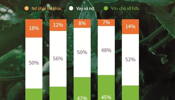 Cổ phiếu Hoàng Anh Gia Lai tăng giá nhờ cây ăn trái