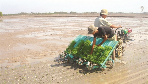 Nhà nông hết lo hạn, mặn lại đối mặt với ngập, lụt