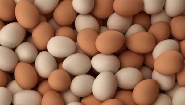 Hàn Quốc chấn động vì phát hiện trứng gà nhiễm thuốc trừ sâu