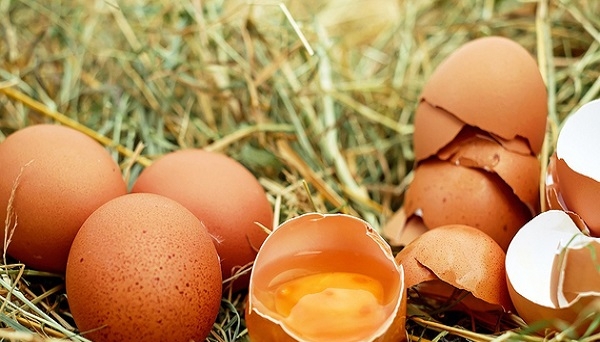 Nước Ý 'nóng hừng hực' vì vụ trứng gà nhiễm thuốc trừ sâu, lo ngại người tiêu dùng hoảng loạn