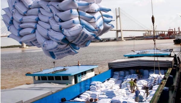 Việt Nam tiếp tục được xuất khẩu thêm 293.100 tấn gạo vào Philippines