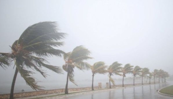 Hơn 70.000 người gốc Việt sống tại Florida đối mặt trước siêu bão Irma