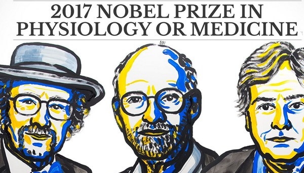 Đoạt giải Nobel Y Sinh 2017, 3 nhà nghiên cứu Hoa Kỳ được thưởng hơn 1 triệu USD