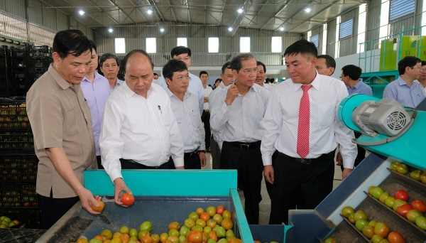 Sản xuất nông nghiệp công nghệ cao, nông sản an toàn là hướng đi quan trọng của nông nghiệp VN