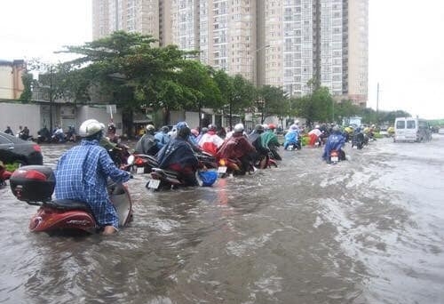 TP.HCM: Hôm nay (26/11), học sinh toàn thành phố được nghỉ học