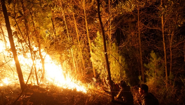Hà Tĩnh: Hàng trăm người xuyên đêm tích cực dập lửa trên núi Nầm